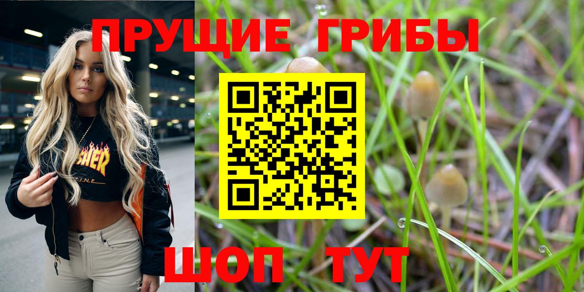 Псилоцибиновые грибы Magic Shrooms Волгоград