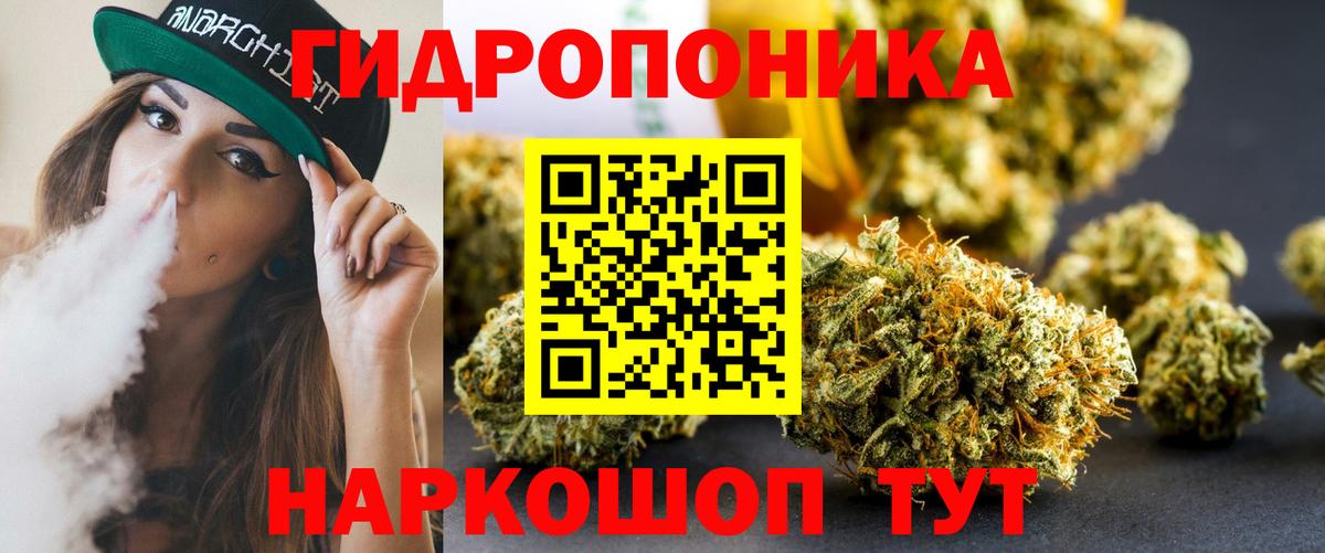 Канабис конопля  Вход с VPN  МАРИХУАНА сатива  Волгоград  Бошки марихуана VHQ 